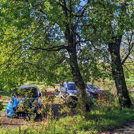 Casal Cominium Bed and Breakfast