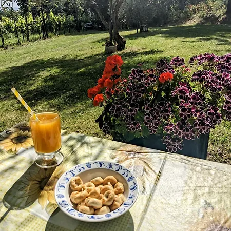 Casal Cominium Bed & Breakfast