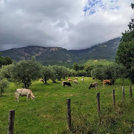Casal Cominium Frühstückspension San Donato Val di Comino