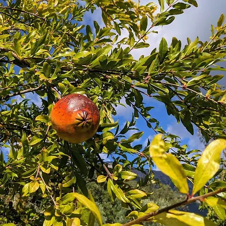 Casal Cominium 4* San Donato Val di Comino