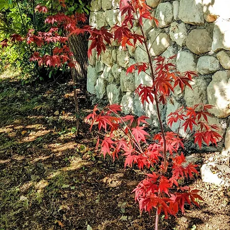 Casal Cominium Frühstückspension 4*