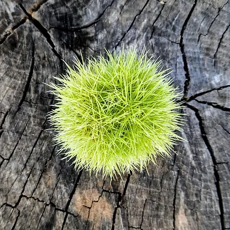 Casal Cominium San Donato Val di Comino